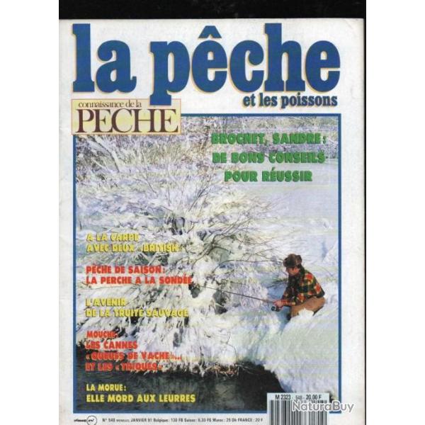 la p�che et les poissons  548 janvier 1991, sandre am�ricains, le chevesne, cannes � mouche, perche