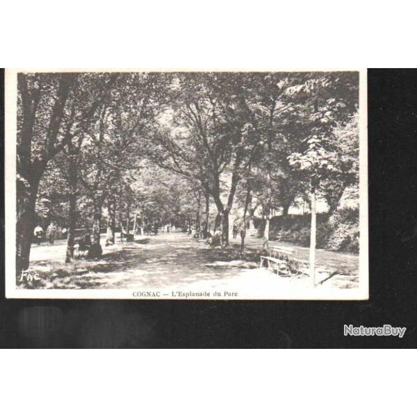 cognac l'esplanade du parc  carte postale ancienne