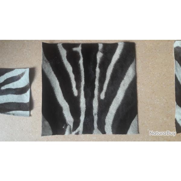 Peau de zbre #B