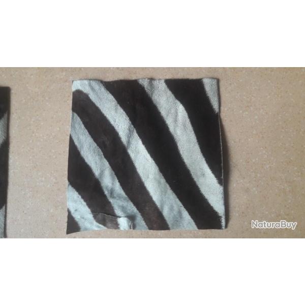 Peau de z�bre #C