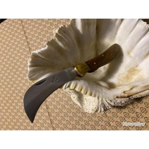 SERPETTE  LE NICLO BOIS DE ACACIA (2025    N