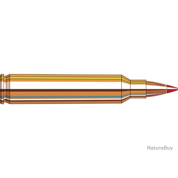 Cartouches 204 Ruger 40 gr V-MAX� Superformance x 20 Hornady
