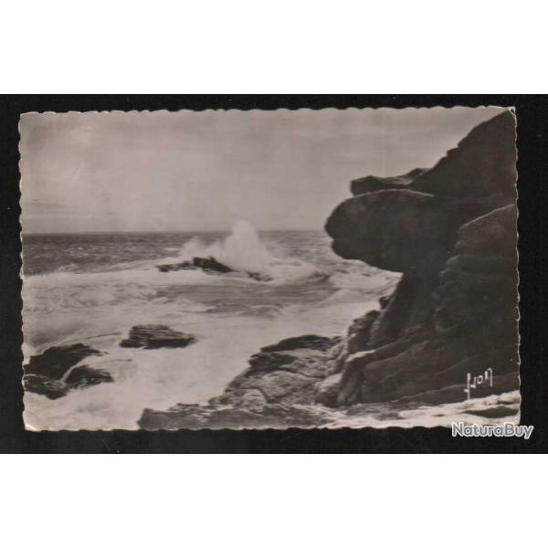 presqu'ile de quiberon la cote sauvage  carte postale semi moderne