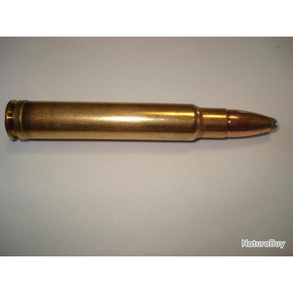 une cartouche de 375 weatherby magnum pour collection, ogive nosler partition