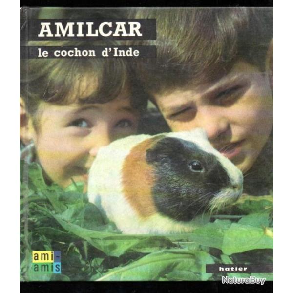 amilcar le cochon d'inde d' anne marie pajot, collection ami-amis
