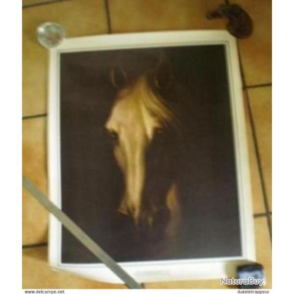 Toile CHEVAL ! Collection,Cowboy, Country, Indien ...