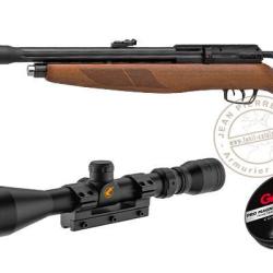Pack carabine PCP GAMO Riser Punisher 5,5 mm (40 joules)