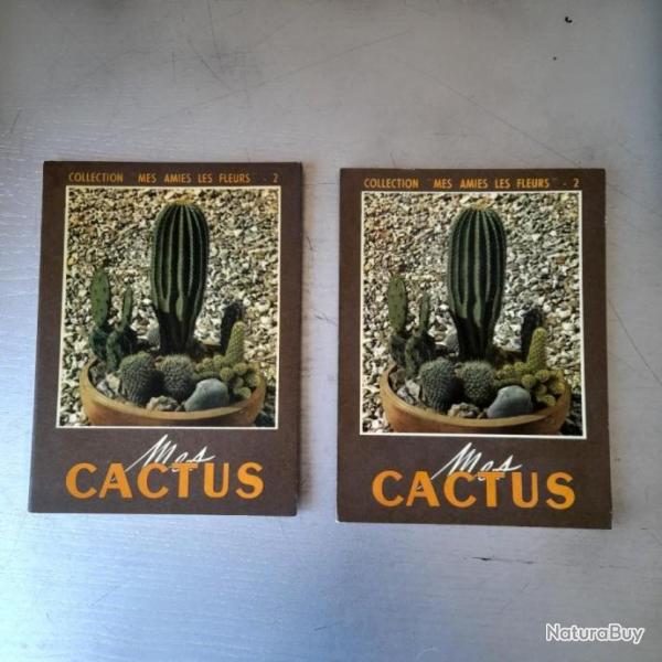 Mes cactus - collection mes amies les fleurs
