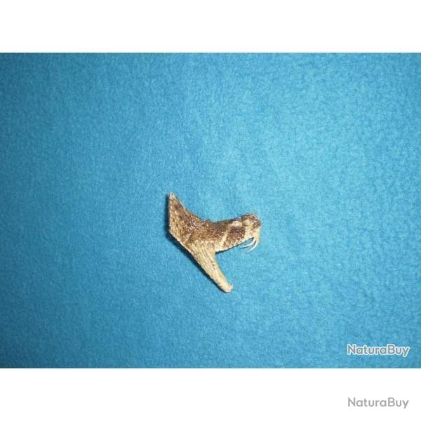 Demie t�te de crotale (serpent � sonnettes) � fixer comme un pin's ! Cowboy, Country, Indien, Trade