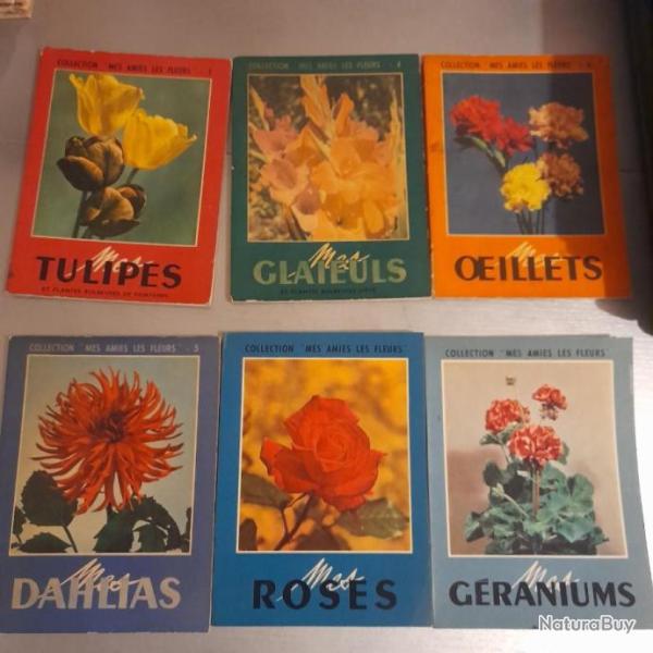 Mes amies les Fleurs