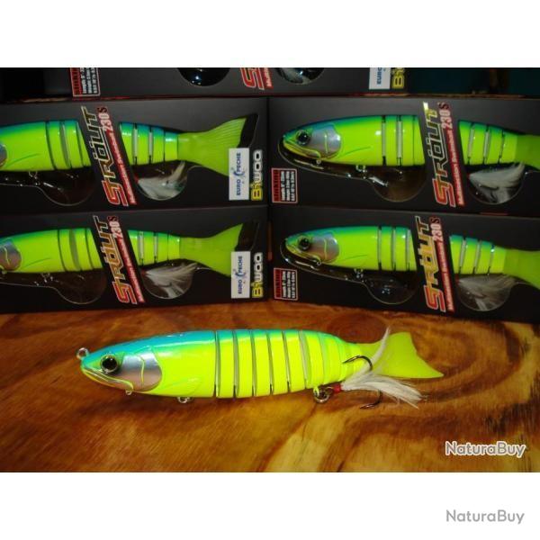 COLORIS EXCLUSIF - BIWAA STROUT 23CM 105GR