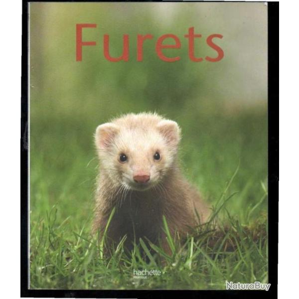 furets petits pratiques animaux de gisela henke