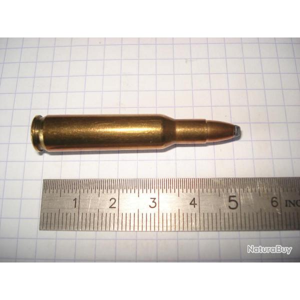 une cartouche de 222 remington ogive demi blinde pour collection marque sellier et bellot
