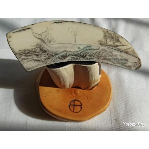 Scrimshaw Vritable sur dfense d'ivoire de phacochre - Pice unique- Collection