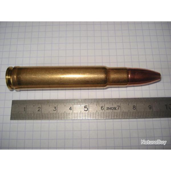 une cartouche de 460 weatherby magnum ogive t�te creuse pour collection