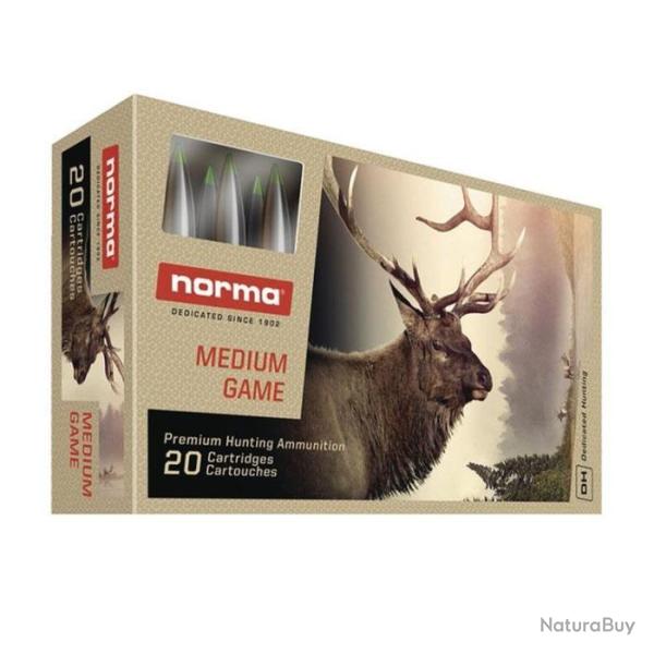 Balles Norma Ecostrike - Cal. 375 HH - 375 HH / Par 1