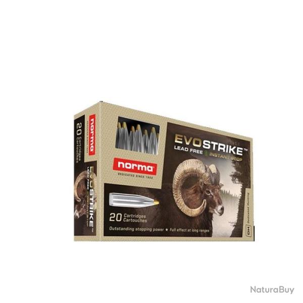 Balles Norma Evostrike - Cal. 270 Win - 96 gr / 6.2 g / Par 1