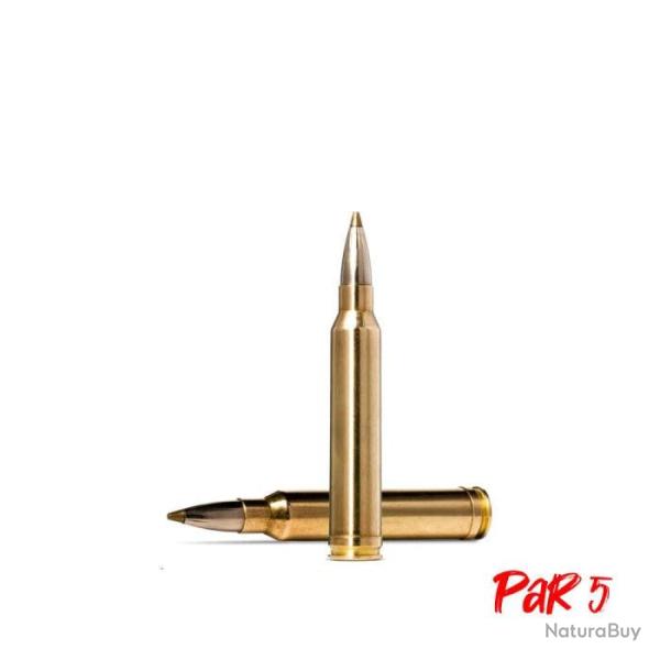 Balles Norma Evostrike - Cal. 30-06 - 139 gr / 9 g / Par 5