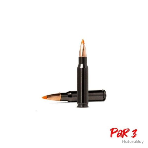 Balles Norma Tipstrike Silencer - Cal. 30-06 Sprg - 170 gr / 11 g / Par 3