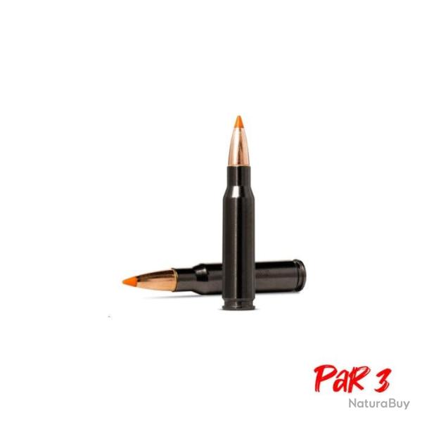Balles Norma Tipstrike Silencer - Cal. 308 Win - 170 gr / 11 g / Par 3