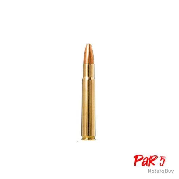 Balles Norma Oryx - Cal. 35 Whelen - 250 gr / 14.6 g / Par 5