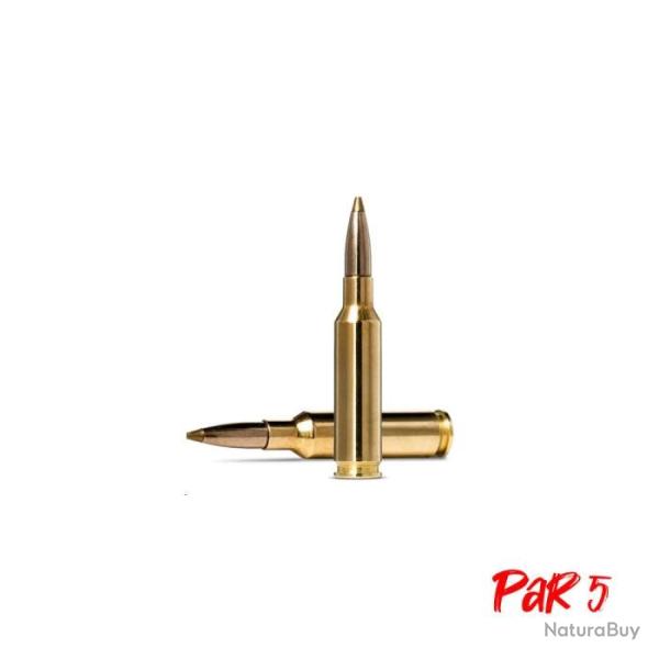 Balles Norma Evostrike - Cal. 6.5 Creedmoor - 93 gr / 6 g / Par 5