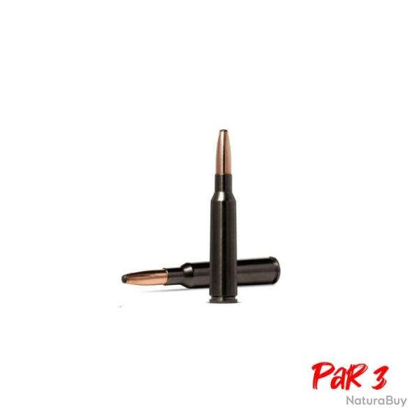 Balles Norma Oryx Silencer - Cal. 6.5x55 SE - 156 gr / Par 3