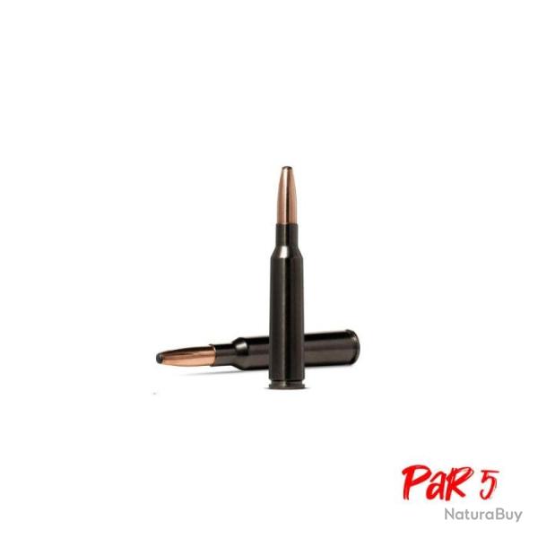 Balles Norma Oryx Silencer - Cal. 6.5x55 SE - 156 gr / Par 5