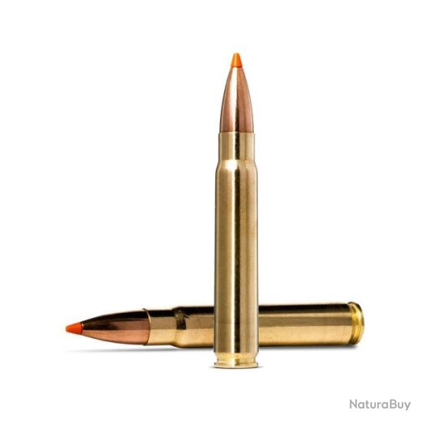 Balles Norma Tipstrike - Cal. 9.3x62 - 255 gr / 16.5 g / Par 1