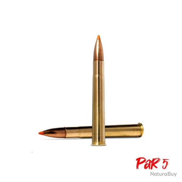 Balles Norma Tipstrike - Cal. 9.3x74 R - 255 gr / 16.5 g / Par 5
