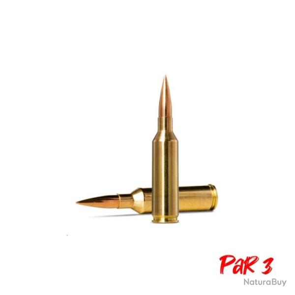 Balles Norma Golden Target - Cal. 6.5 PRC - 143 gr / 9.27 g / Par 3