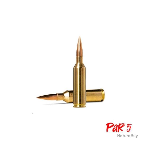 Balles Norma Golden Target - Cal. 6.5 PRC - 143 gr / 9.27 g / Par 5