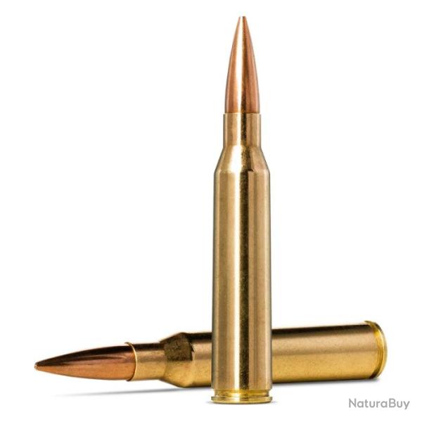 Balles Norma Golden Target - Cal. 338 Lapua Mag - 250 gr / 16.2 g / Par 1