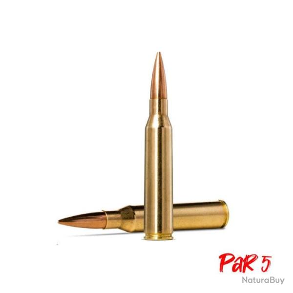 Balles Norma Golden Target - Cal. 338 Lapua Mag - 250 gr / 16.2 g / Par 5