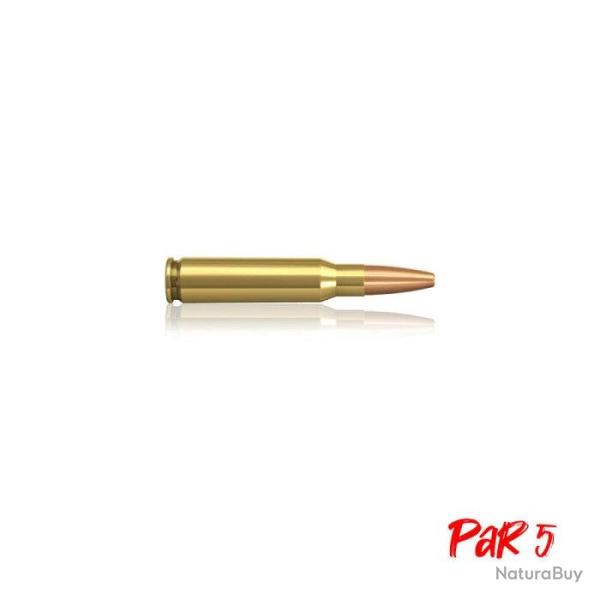 Balles Norma Sierra Hollow Point Boat Tail - Cal. 338 Norma Mag - 300 gr / Par 5