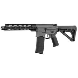 R&eacute;plique R15 mod 1 Zion Arms noir/gris garde main long