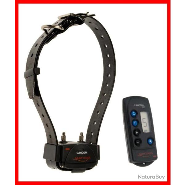 KIT COLLIER D'EDUCATION CANICOM 200 - 200M