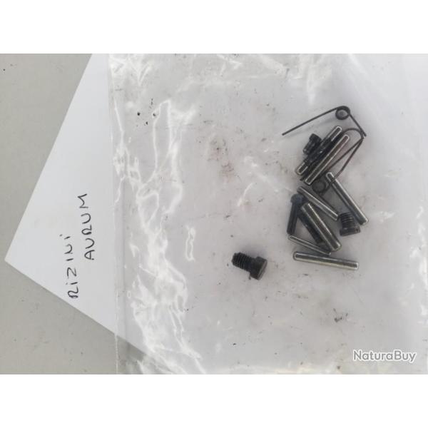 lot goupilles vis et ressorts rizzini aurum