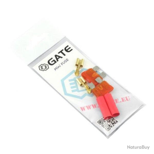 Micro fusibles Gate par 2