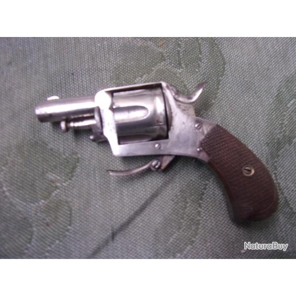 revolver type Bulldog