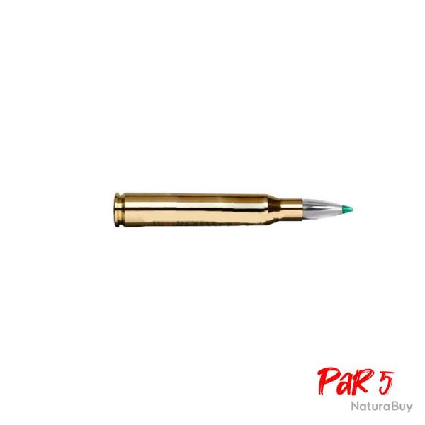 Balles Norma Ecostrike - Cal. 9.3x74 R - 250 gr / 16.2 g / Par 5