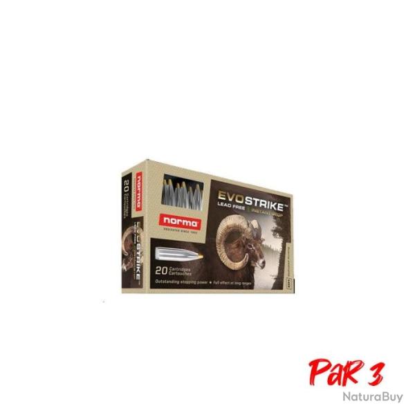 Cartouches Norma Evostrike - Cal. 6.5x55 SE - 93 gr / 6.0 g / Par 3