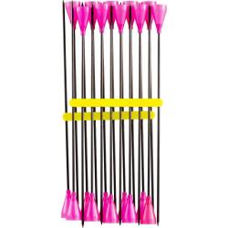 Lots de 20 fl&eacute;chettes pour sarbacane Alexbow en carbone Rose