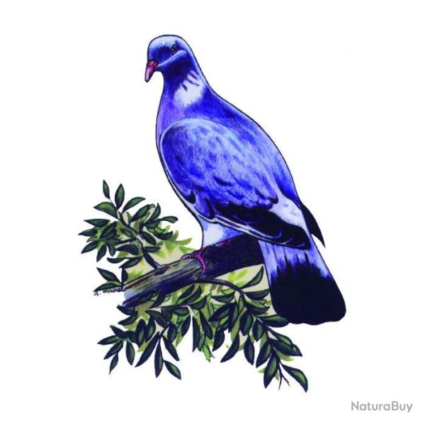 Autocollant Denis Clement A4 D�coupe � la forme - Palombe