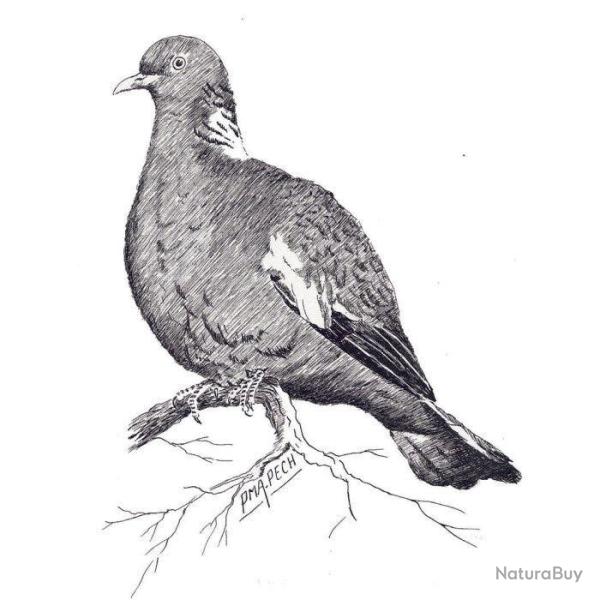 Autocollant Denis Clement palombe - 38 cm