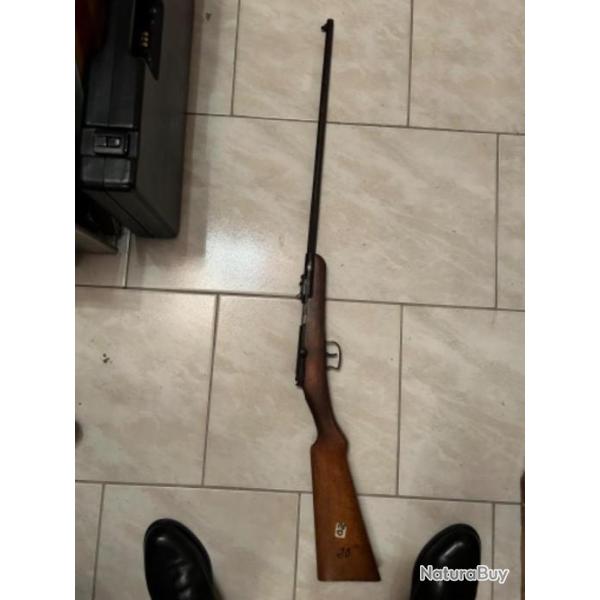 Carabine de jardin en 6mm bosquette