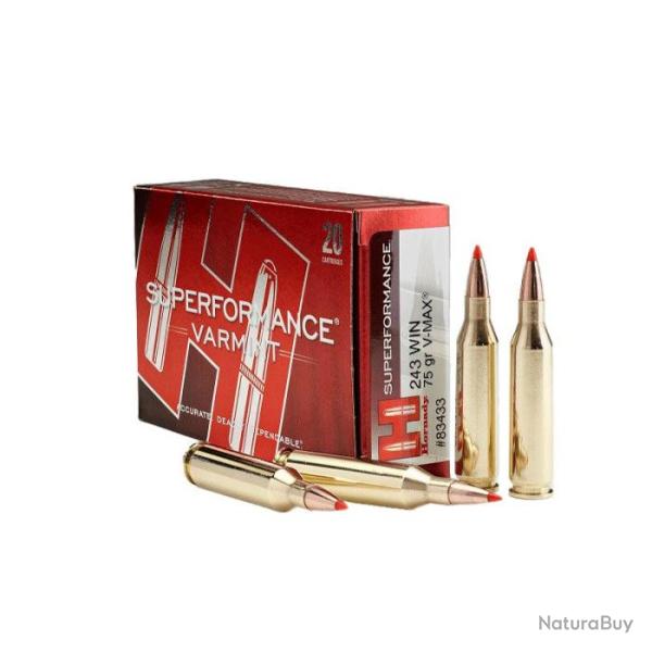 Balles Hornady Superformance V-MAX - 243 Win