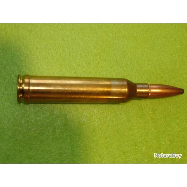 Cartouche de 7 mm rem mag Partizan