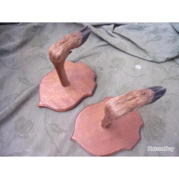 ratelier une arme en pattes