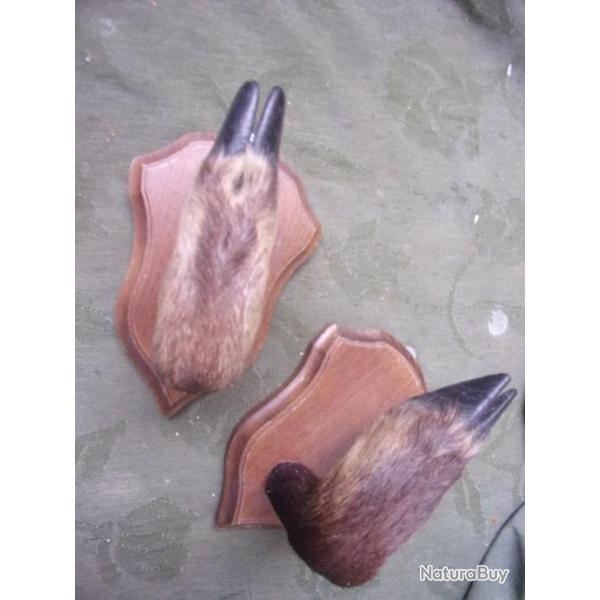 ratelier une arme pattes